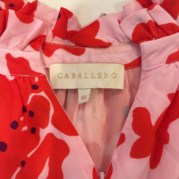 Caballero reversible dress - Picture 4 of 8